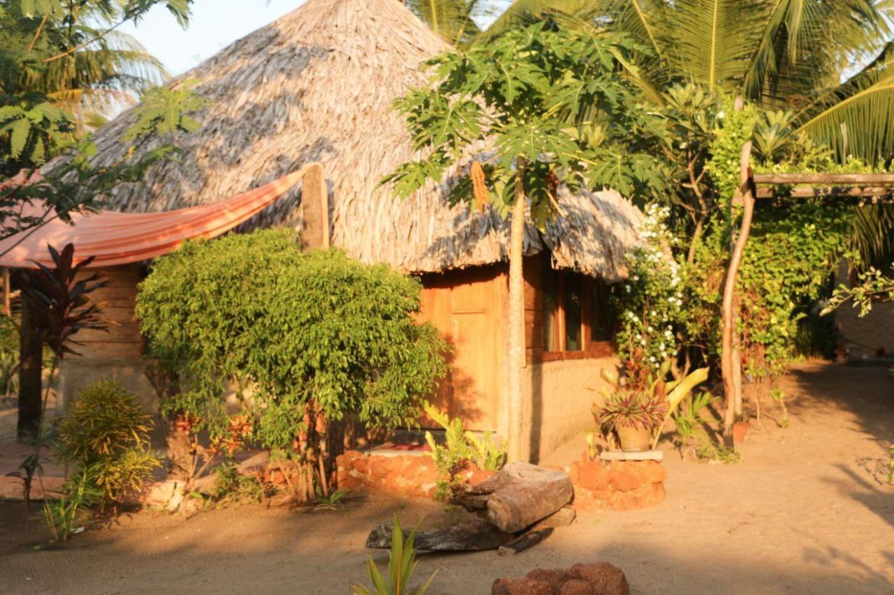 Monsoon Eco Resort - Whisky Point Arugambay Pottuvil Eksteriør billede