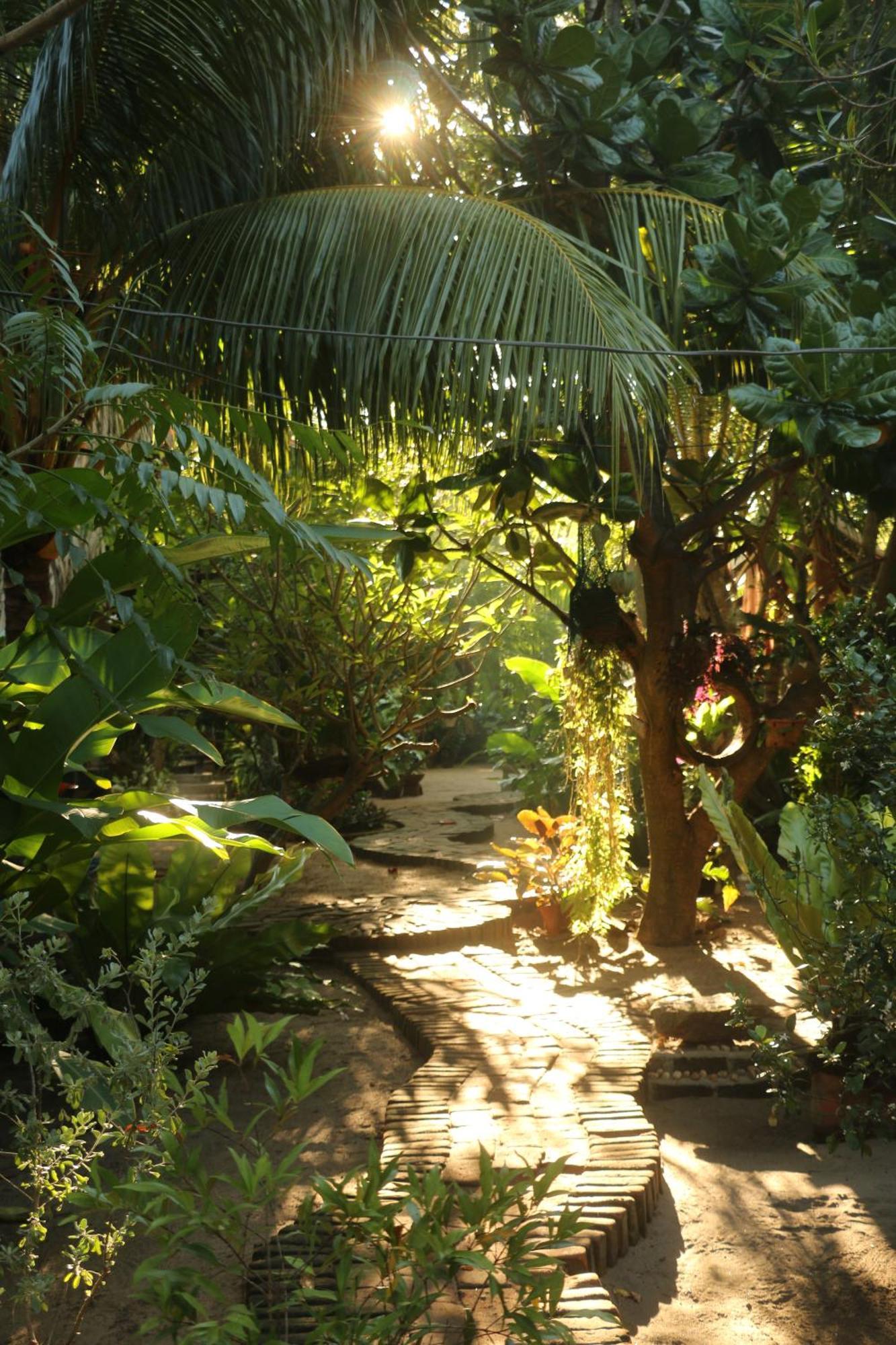 Monsoon Eco Resort - Whisky Point Arugambay Pottuvil Eksteriør billede