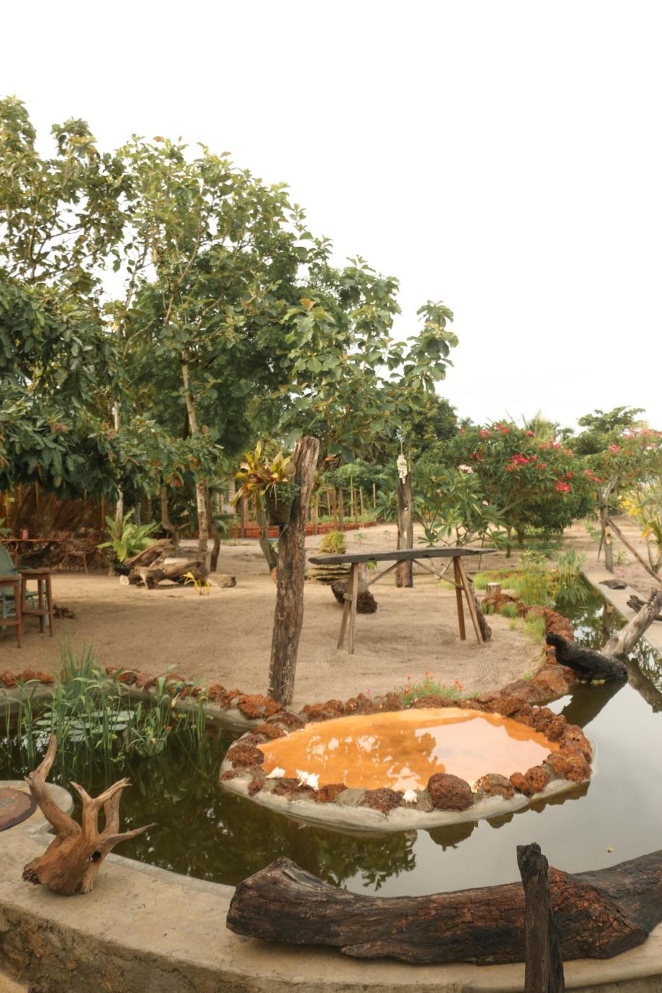Monsoon Eco Resort - Whisky Point Arugambay Pottuvil Eksteriør billede