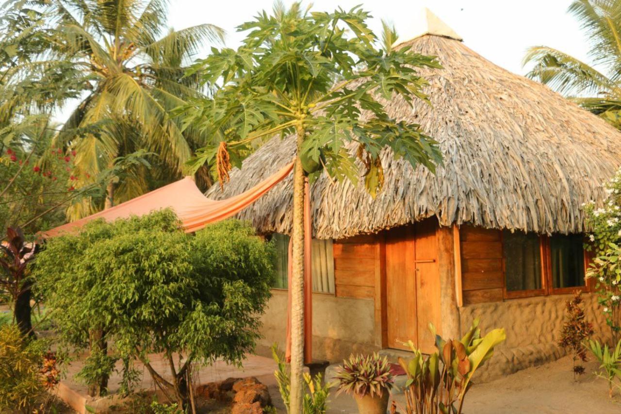 Monsoon Eco Resort - Whisky Point Arugambay Pottuvil Værelse billede