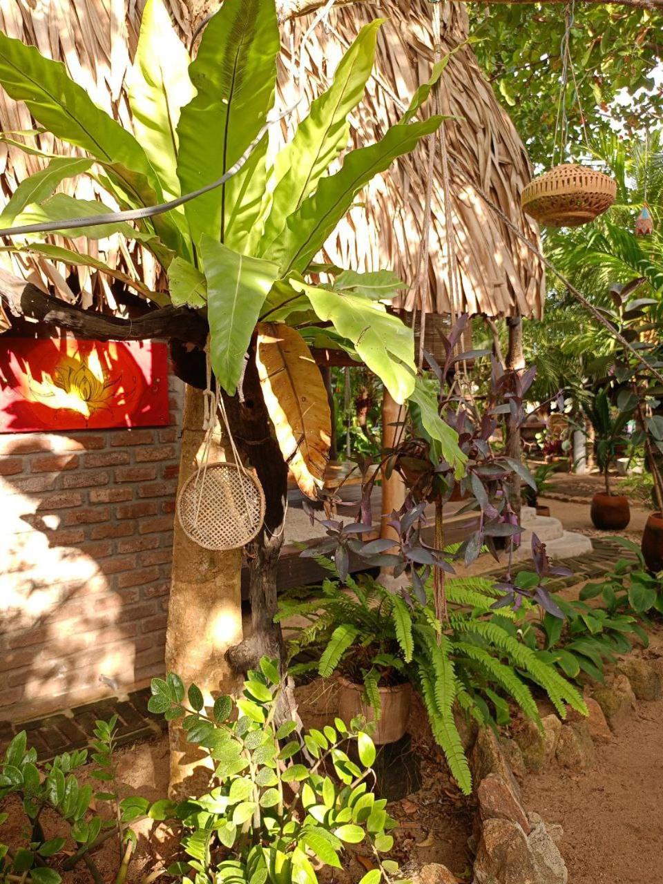 Monsoon Eco Resort - Whisky Point Arugambay Pottuvil Værelse billede
