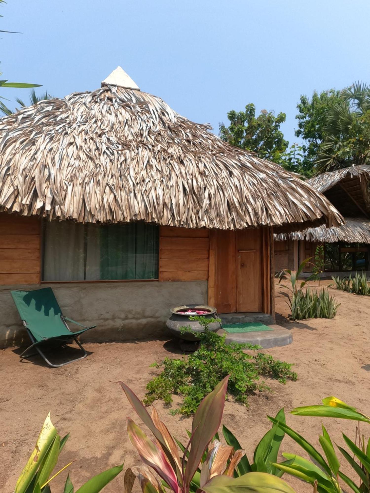Monsoon Eco Resort - Whisky Point Arugambay Pottuvil Værelse billede