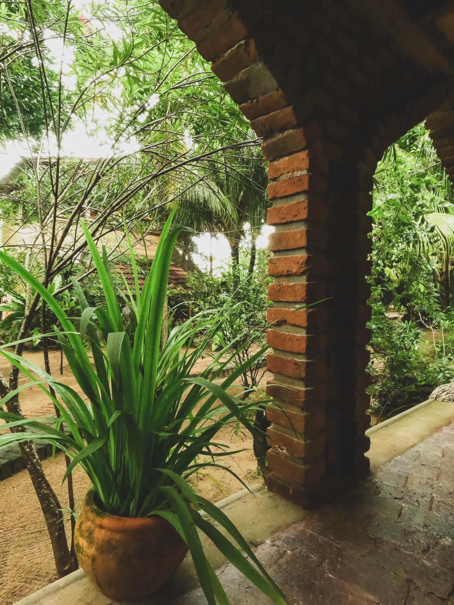 Monsoon Eco Resort - Whisky Point Arugambay Pottuvil Værelse billede
